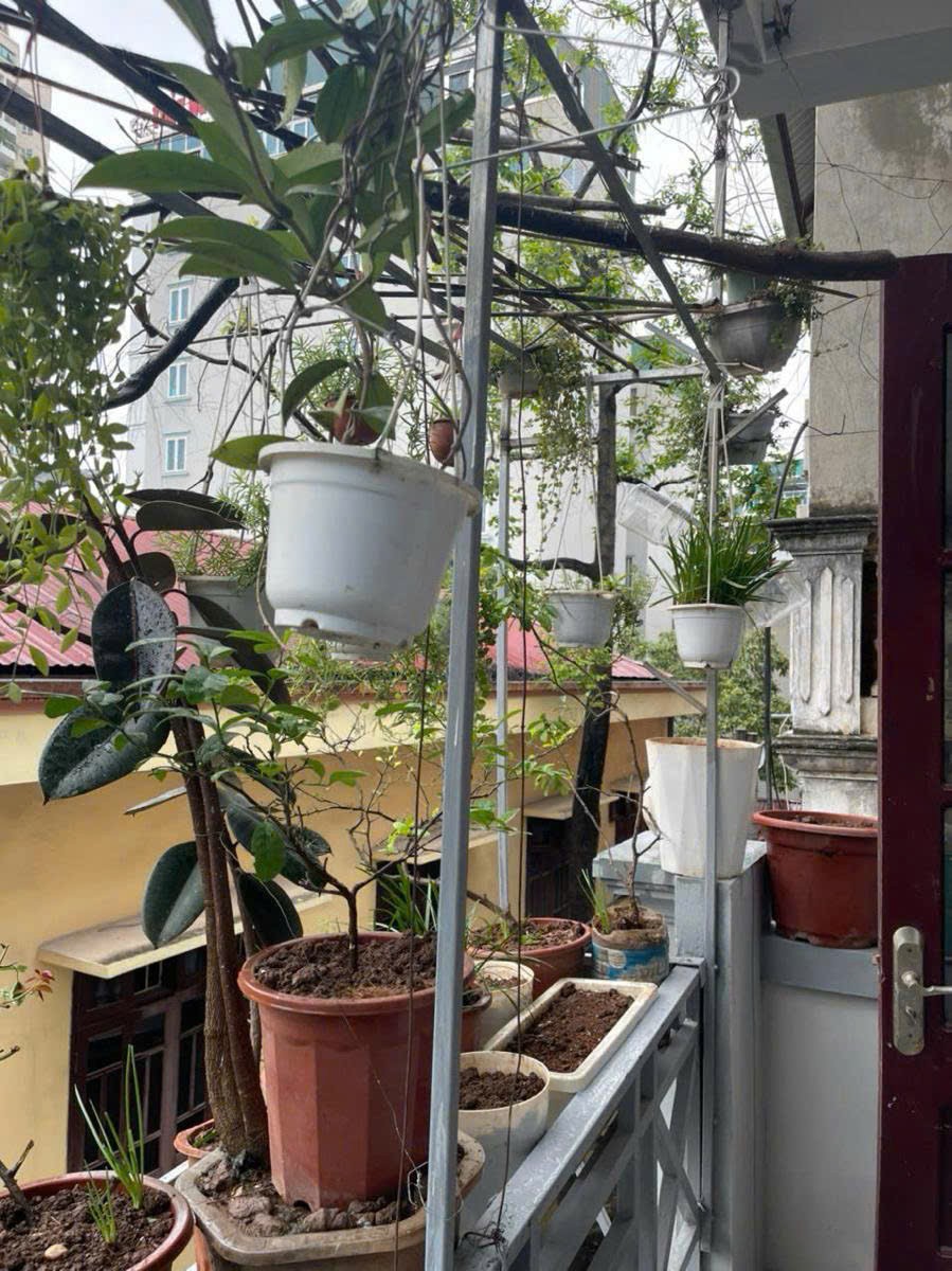 BÁN NHÀ PHỐ TRẦN QUỐC VƯỢNG, CẦU GIẤY, ĐẦU TƯ, DÒNG TIỀN DT 98M2* 4 TẦNG* MT 5M* GIÁ 23.5 TỶ. 6