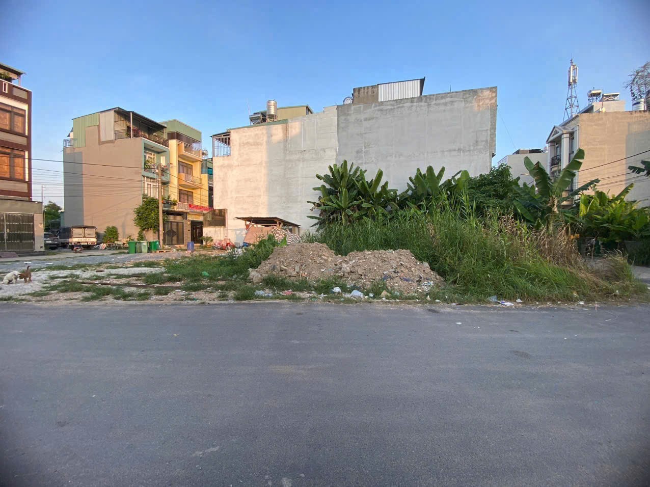 Cần bán Đất Phường Phú Hữu, Quận 9, Diện tích 113m², Giá 6.4 Tỷ 4