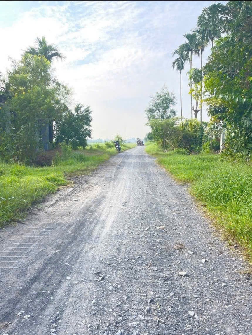 Bán đất thổ cư , đường đá xanh xe oto xã Đức Lập Hạ dt 500m2 giá 2 tỷ 2