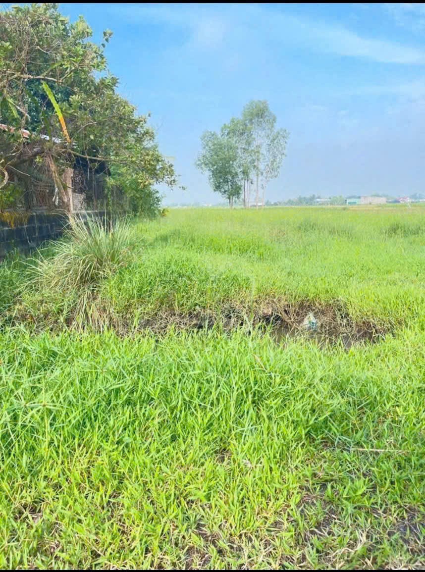 Bán đất thổ cư , đường đá xanh xe oto xã Đức Lập Hạ dt 500m2 giá 2 tỷ 3