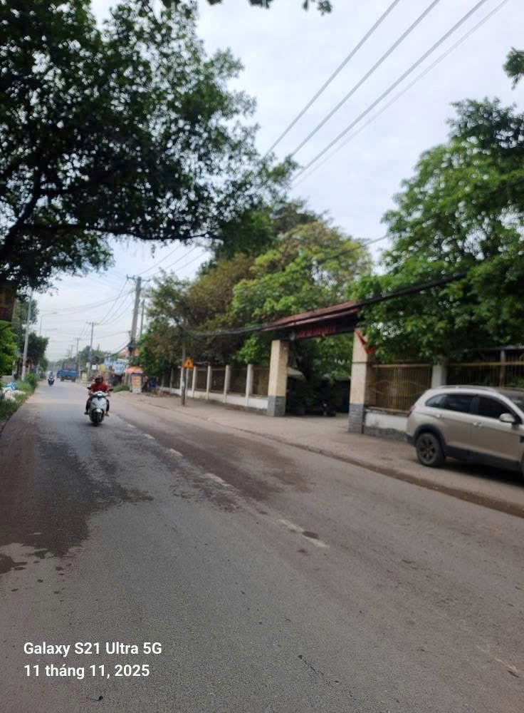 HÀNG HIẾM ĐÔNG THẠNH – NHÀ XƯỞNG MẶT TIỀN NGUYỄN THỊ MƯỜI (ĐT5 CŨ) – VỊ TRÍ VIP 3