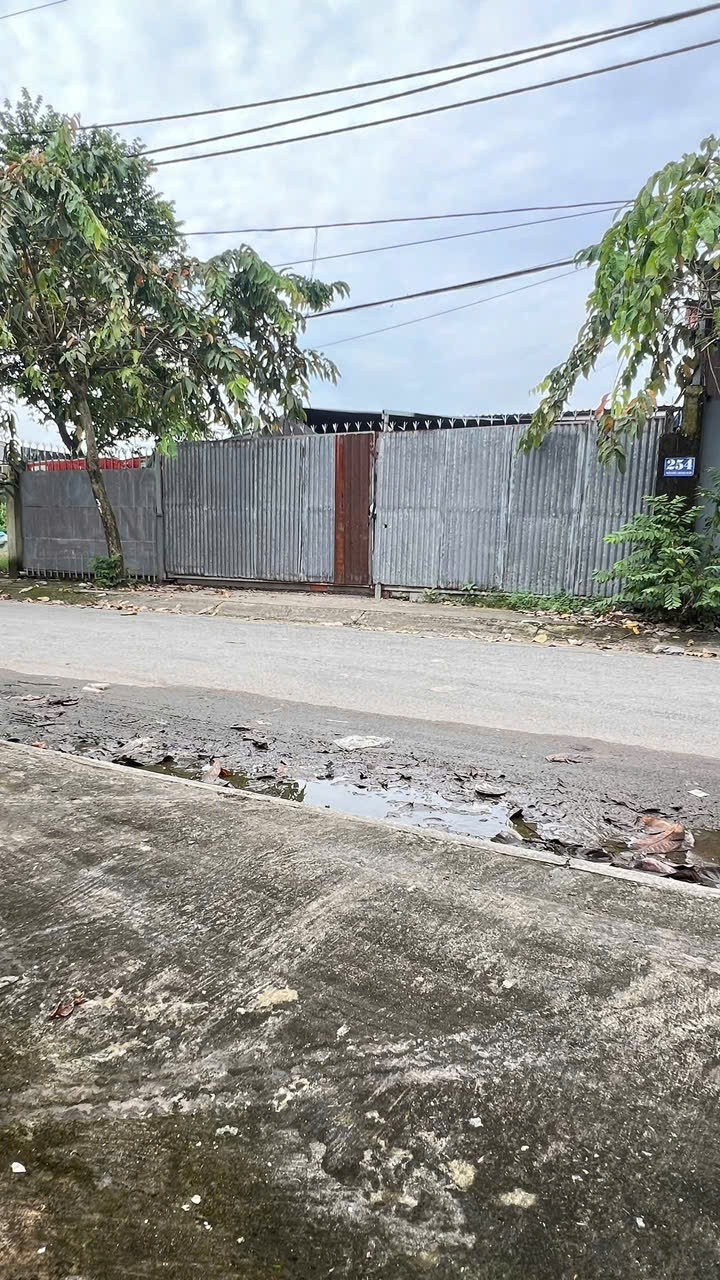 HÀNG HIẾM ĐÔNG THẠNH – NHÀ XƯỞNG MẶT TIỀN NGUYỄN THỊ MƯỜI (ĐT5 CŨ) – VỊ TRÍ VIP 4