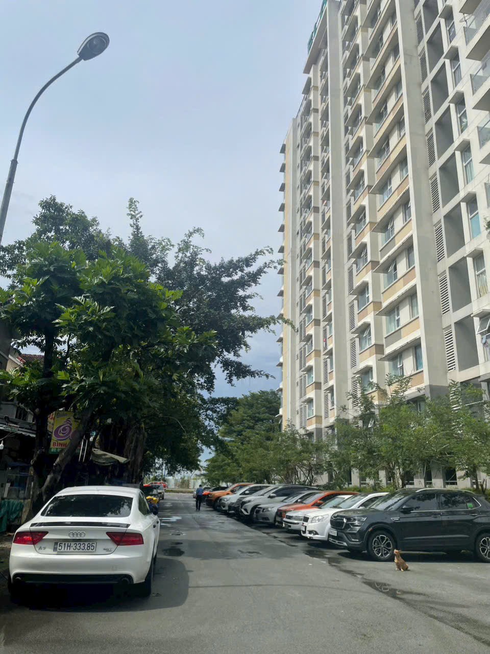 Cần bán Nhà mặt tiền Phường Phú Hữu, Quận 9, Diện tích 136m², Giá 19.9 Tỷ