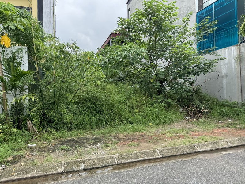 ĐỘC QUYỀN! Bán Đất Biệt Thự 236m2 KĐT 31ha Trâu Quỳ - Mặt tiền 11,8m - Tiềm năng KDVP 6