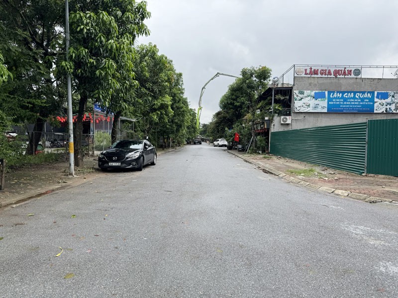 ĐỘC QUYỀN! Bán Đất Biệt Thự 236m2 KĐT 31ha Trâu Quỳ - Mặt tiền 11,8m - Tiềm năng KDVP 7