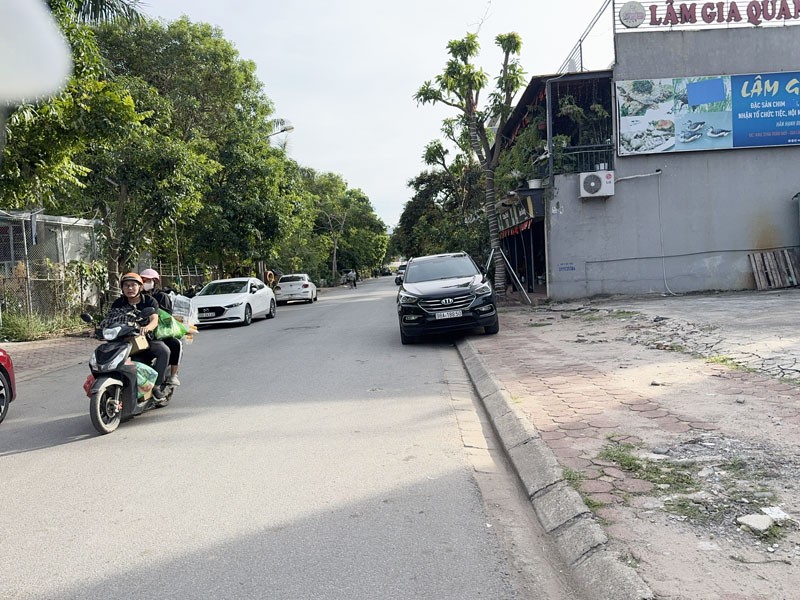 ĐỘC QUYỀN! Bán Đất Biệt Thự 236m2 KĐT 31ha Trâu Quỳ - Mặt tiền 11,8m - Tiềm năng KDVP 8