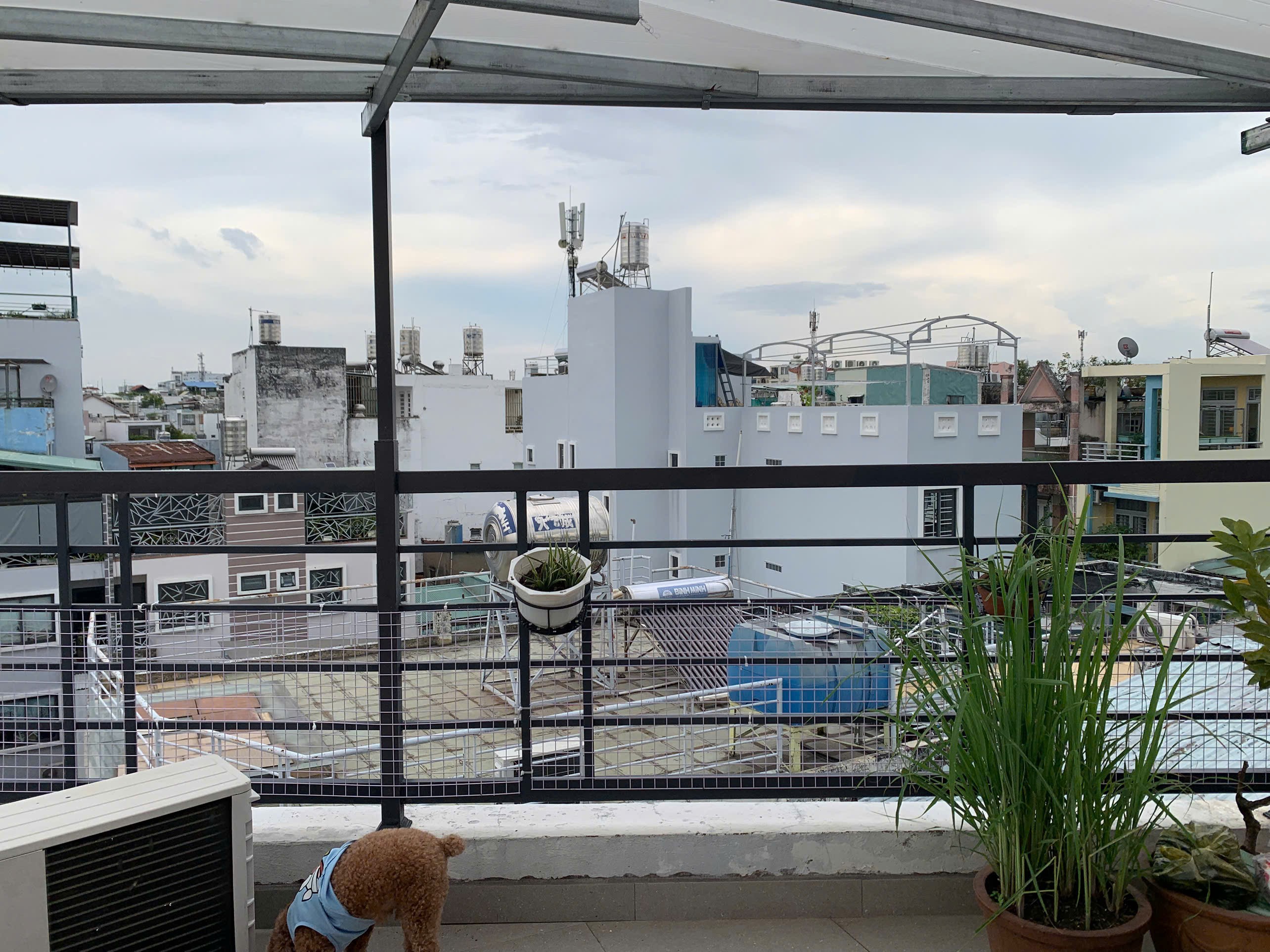 Cần bán Nhà mặt tiền đường Thích Quảng Đức, Phường 5, Diện tích 28m², Giá Thương lượng 31