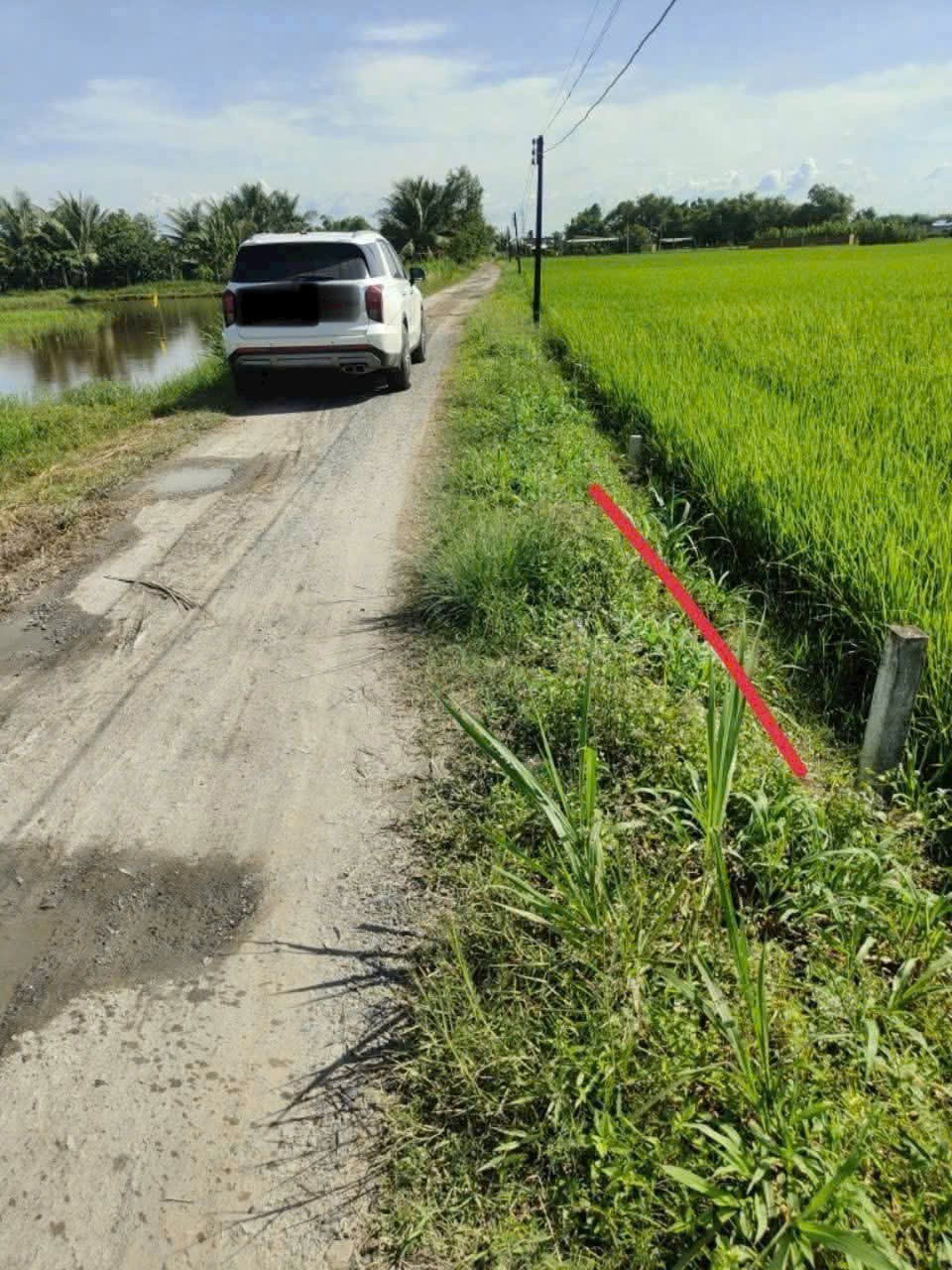 Bán lô đất thổ cư đường đá xanh xe oto xã Hiệp Hòa, huyện Đức Hòa dt 200m2 giá 650tr 2