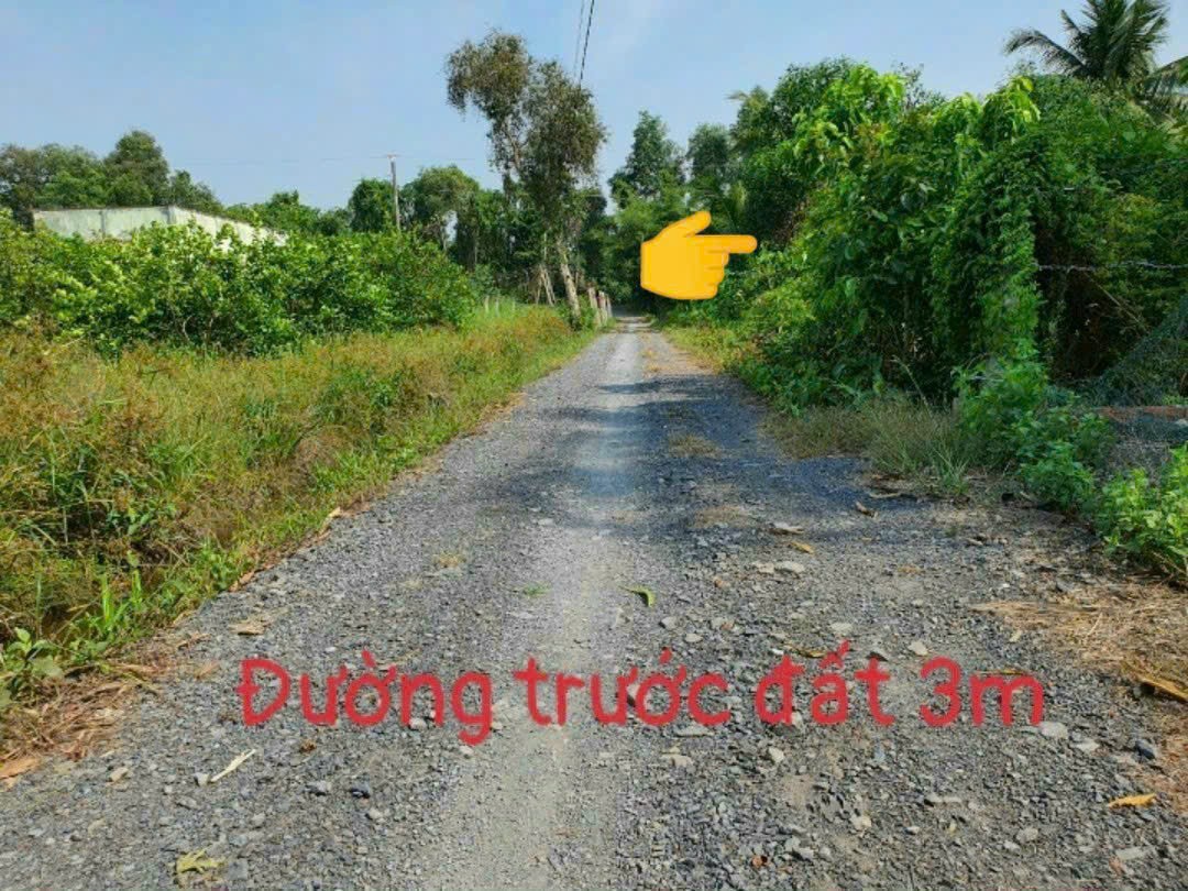 Bán nền thổ cư xã Bình Đức, Bến Lức dt 154m2 giá 720 triệu 2