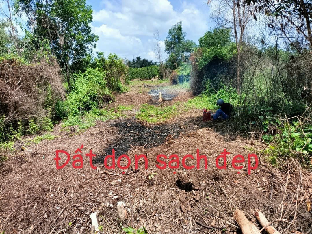 Bán nền thổ cư xã Bình Đức, Bến Lức dt 154m2 giá 720 triệu 5