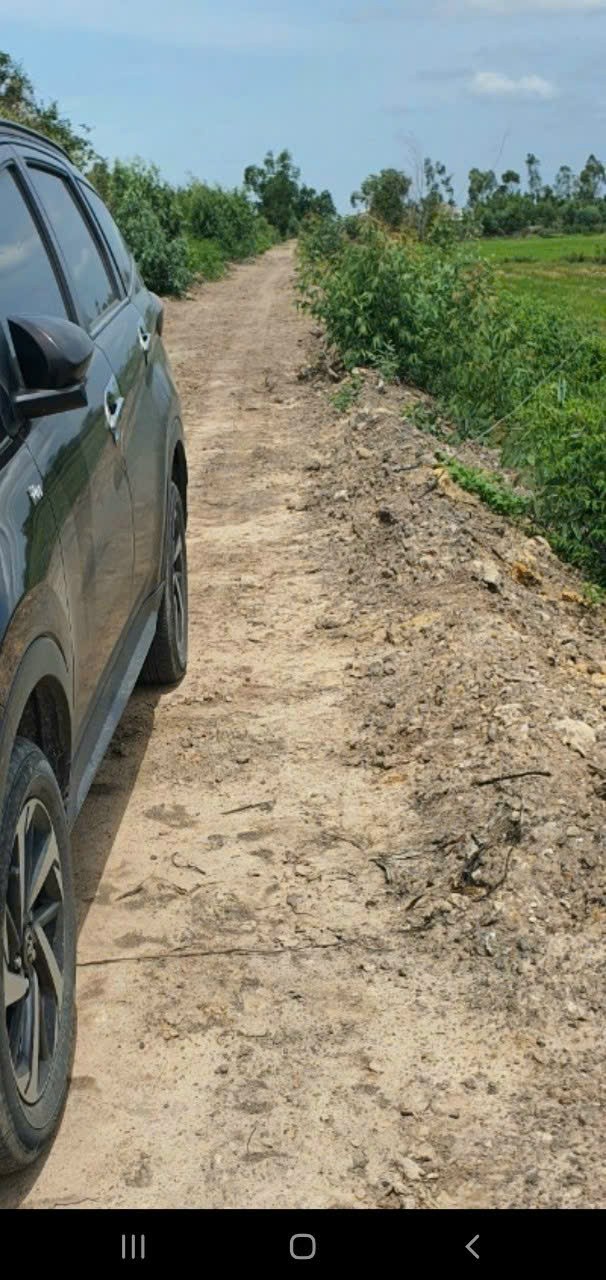 Bán lô đất rừng sản xuất, khu vực chuyển thổ cư 100% xã Mỹ Bình, Đức Huệ dt 5319m2 giá 1,8 tỷ 4