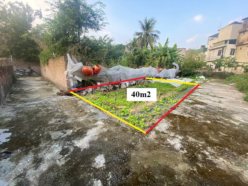 Bán đất Tam Hưng Thanh Oai, 40m2, tài chính Nhỏ nhỉnh 3 tỷ, Lô góc 2 thoáng