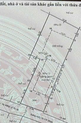 HÀNG NGỘP CỰC HIẾM NHÀ VƯỜN HƠN 500M² GIỮA LÒNG TÂN XUÂN – CHỈ 16 TỶ!
