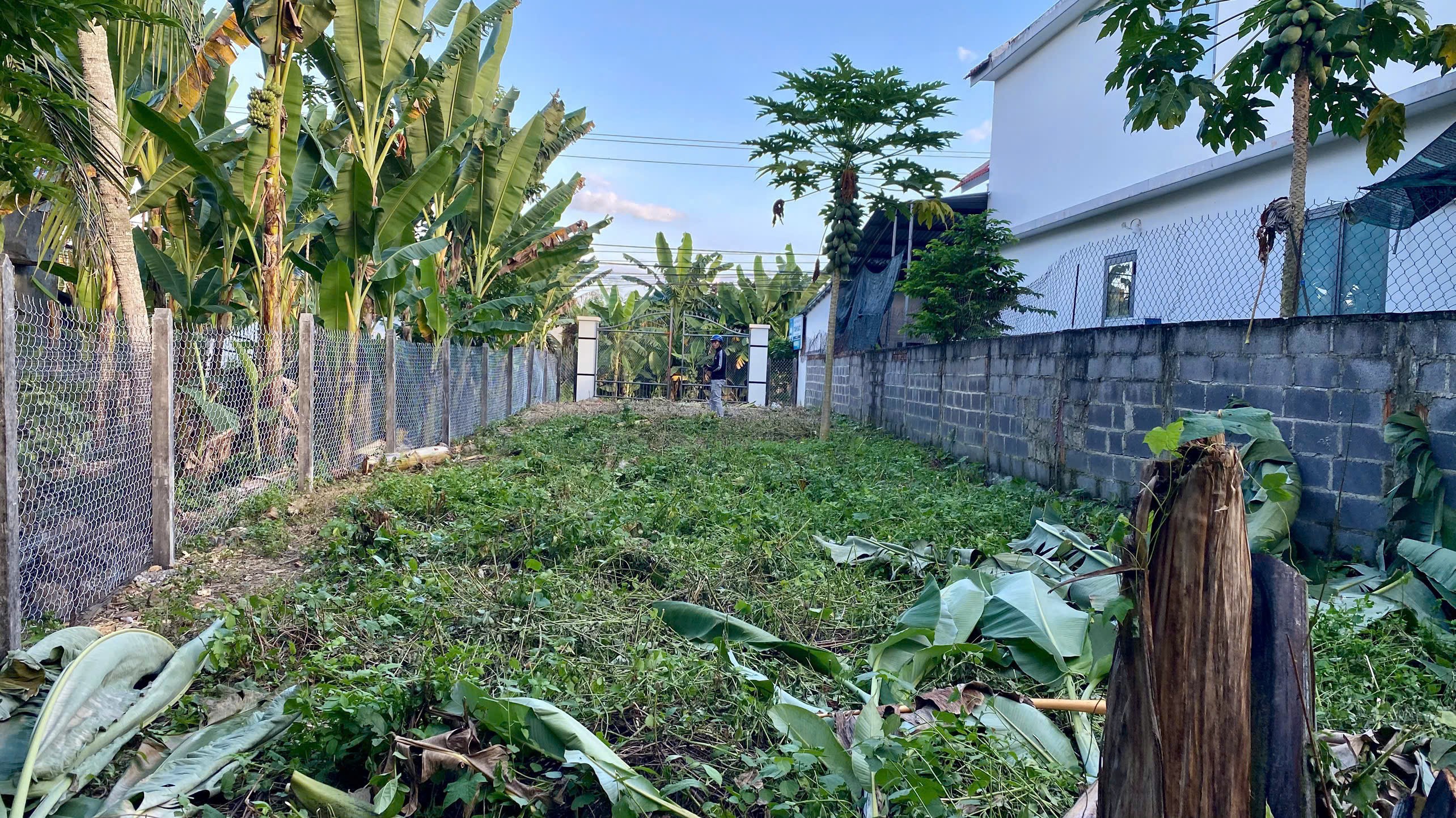 BÁN LÔ ĐẤT MẶT TIỀN ĐƯỜNG SÔNG CÁI, DIÊN LÂM, DIÊN KHÁNH. 2