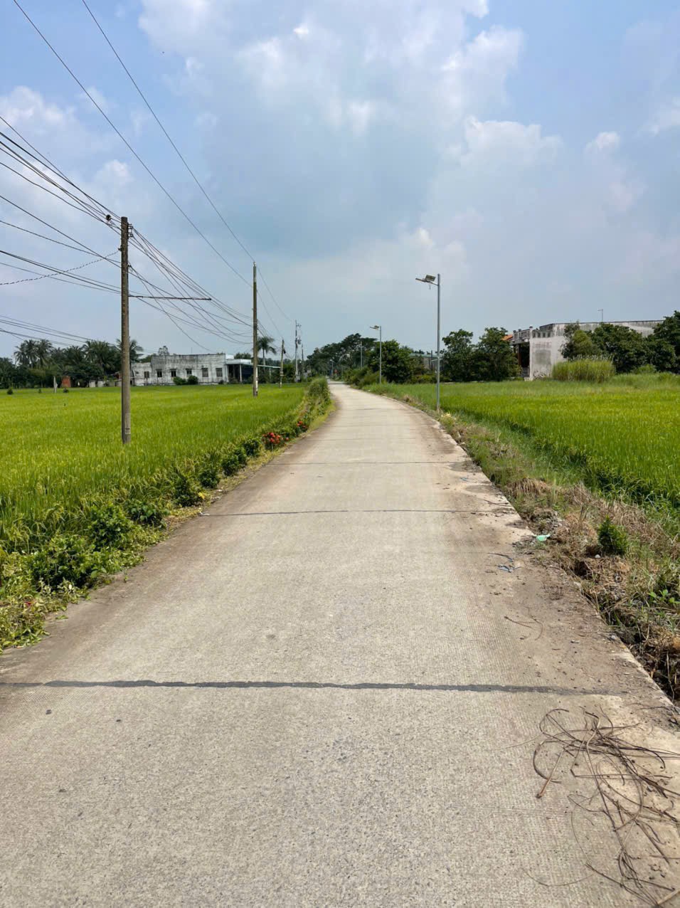 Bán 1.700m2 đất ( 400m2 thổ + 1300m2 lúa) xã An Thạnh, Bến Lức giá 5,6 tỷ 3