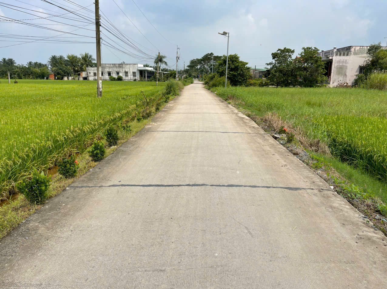 Bán 1.700m2 đất ( 400m2 thổ + 1300m2 lúa) xã An Thạnh, Bến Lức giá 5,6 tỷ 4