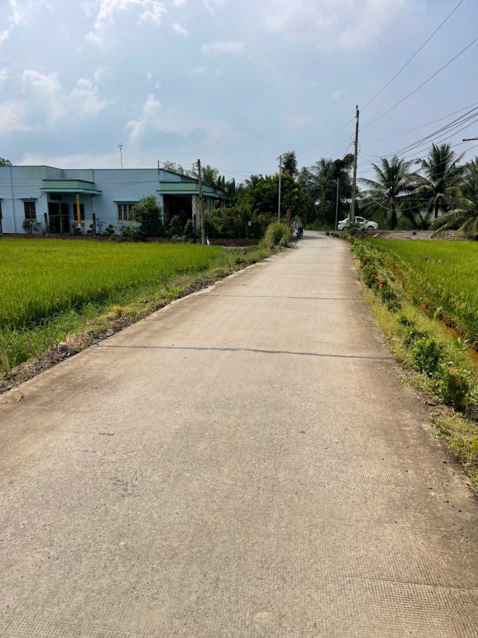 Bán 1.700m2 đất ( 400m2 thổ + 1300m2 lúa) xã An Thạnh, Bến Lức giá 5,6 tỷ 5