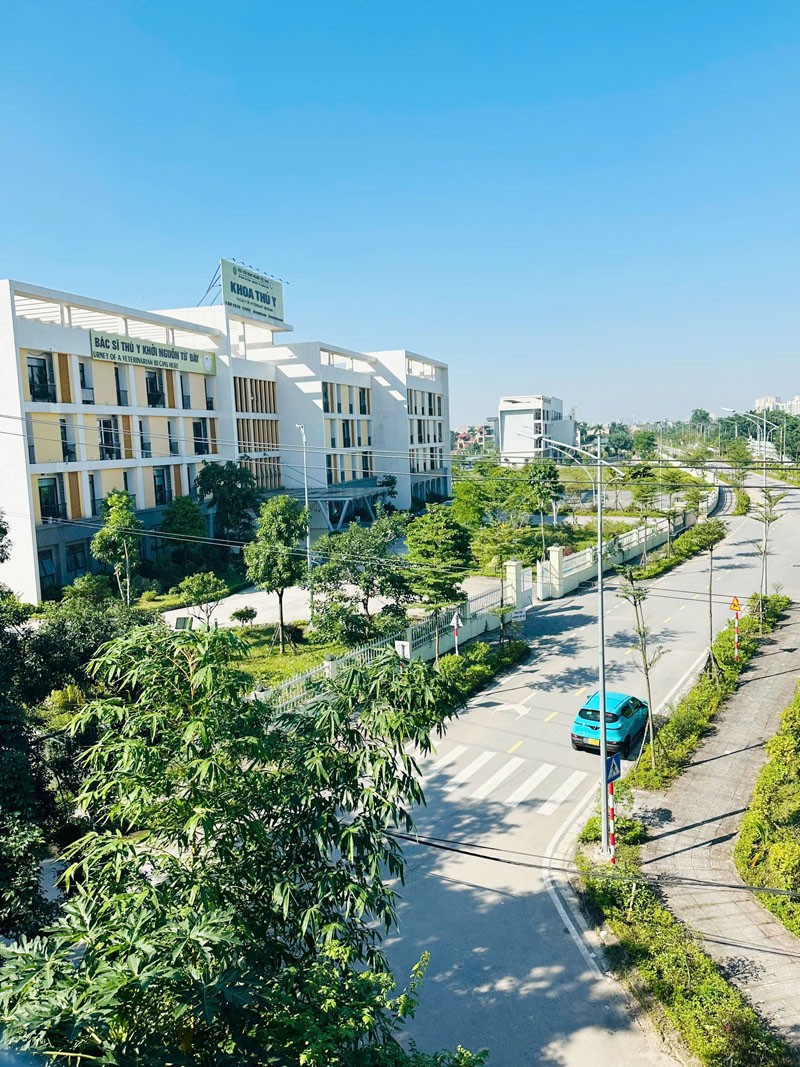 Bán giúp anh trai 64m2 nhà 3 tầng tại TDP Chính Trung, Gia Lâm. Cách 40m ra Ngô Xuâ Quảng 2