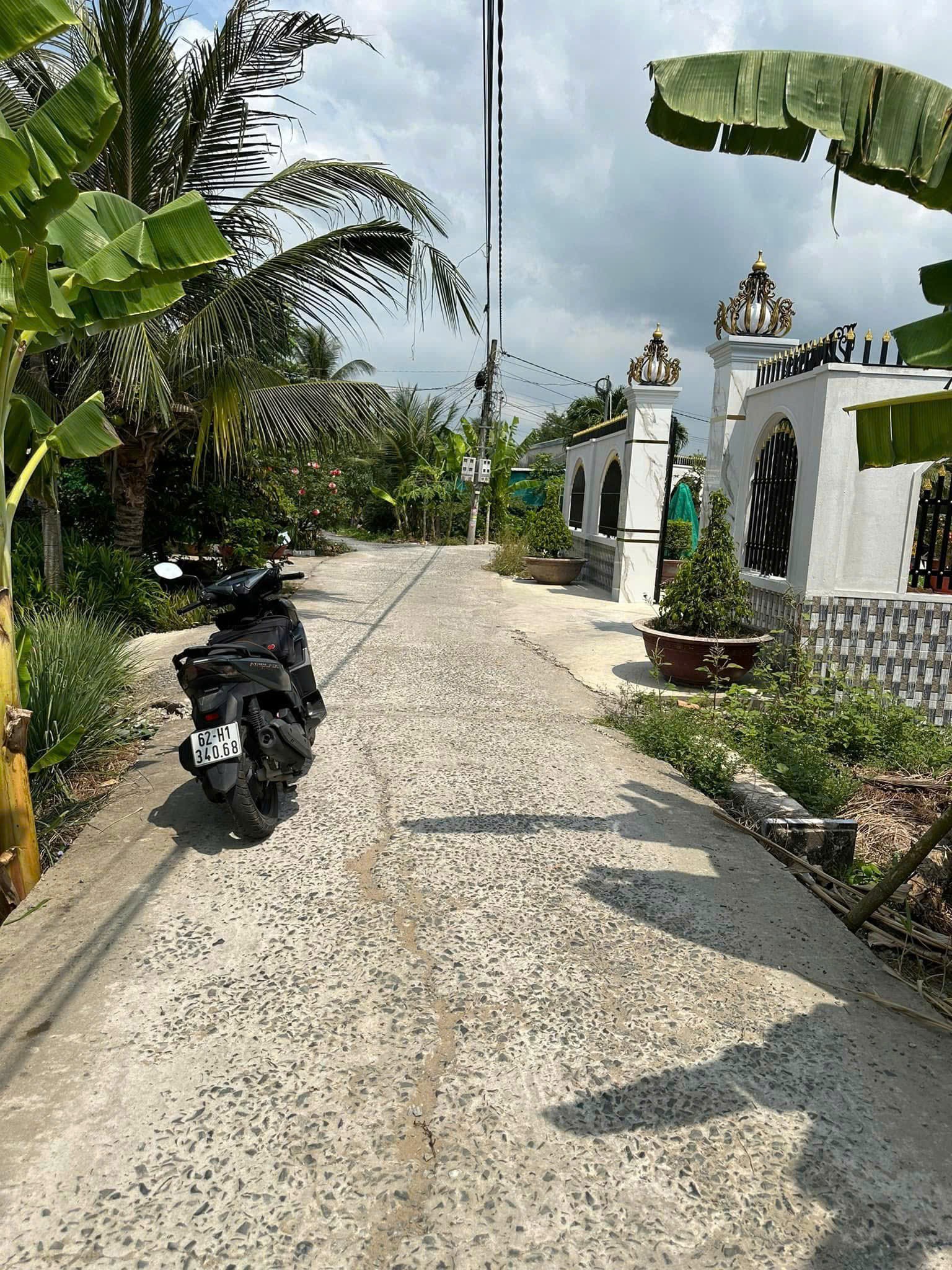 Bán 5 lô thổ cư liền kề xã Bình Tịnh, huyện Tân Trụ dt 197m2 giá 739 triệu 1 lô 3