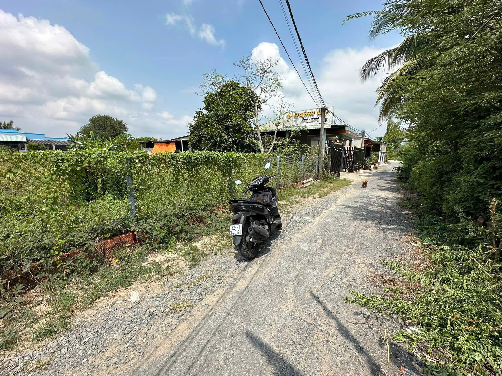 Bán 5 lô thổ cư liền kề xã Bình Tịnh, huyện Tân Trụ dt 197m2 giá 739 triệu 1 lô 4