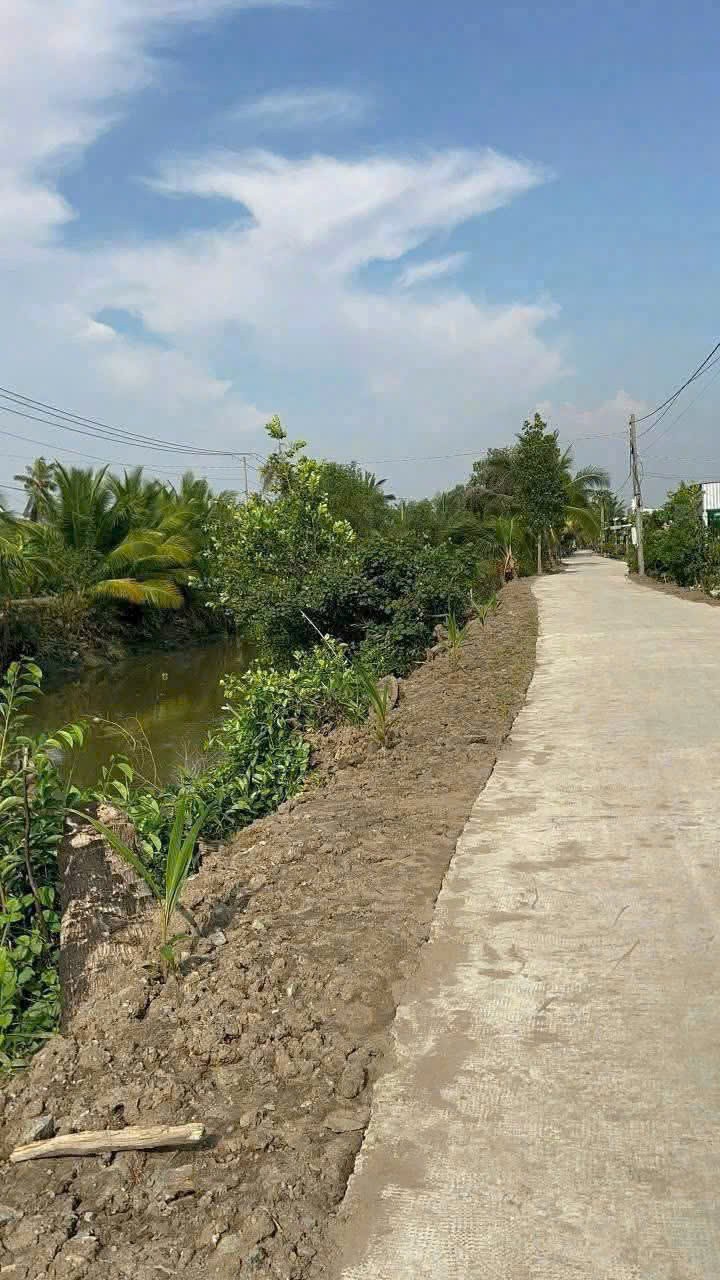 Bán 4.200m2 đất vườn ( có 300m2 thổ) ấp 9 xã Lương Hòa, Bến Lức giá 6,5 tỷ 2