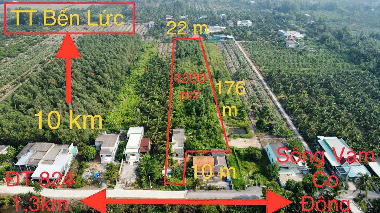 Bán 4.200m2 đất vườn ( có 300m2 thổ) ấp 9 xã Lương Hòa, Bến Lức giá 6,5 tỷ 4