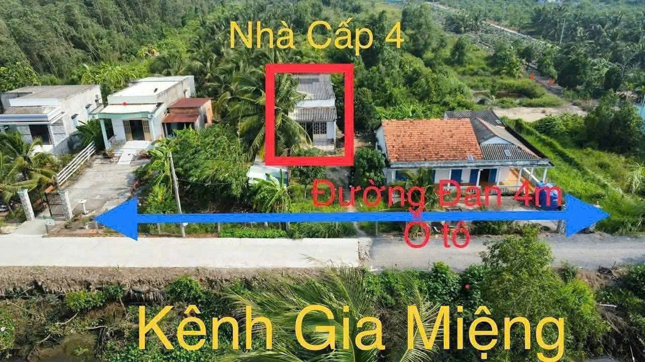 Bán 4.200m2 đất vườn ( có 300m2 thổ) ấp 9 xã Lương Hòa, Bến Lức giá 6,5 tỷ 5