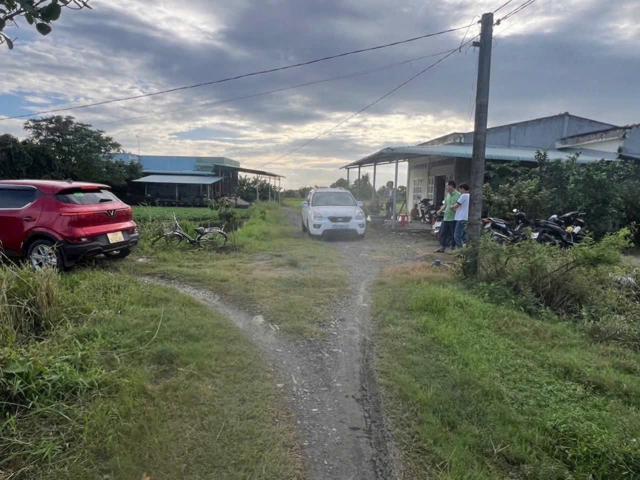 Bán nhà cấp 4 tổng dt 1300m2 đất lúa xã Đức Tân, Tân Trụ giá 1,2 tỷ 2