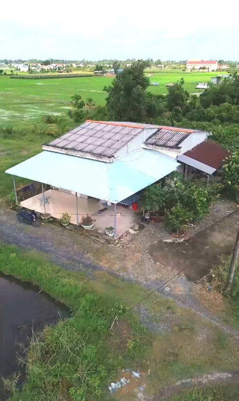 Bán nhà cấp 4 tổng dt 1300m2 đất lúa xã Đức Tân, Tân Trụ giá 1,2 tỷ 3