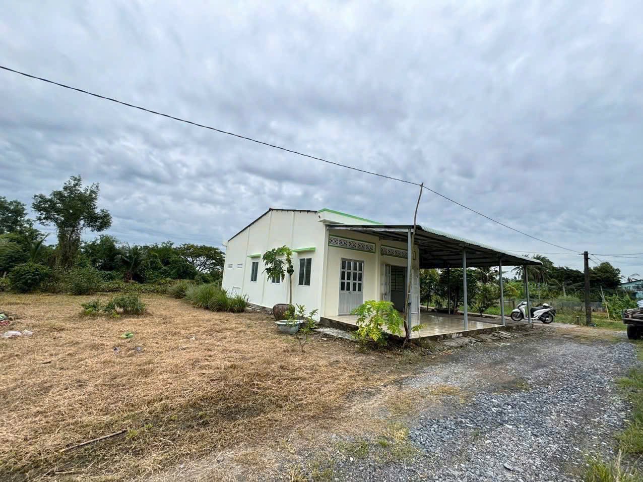 Bán nhà cấp 4 tổng dt 1300m2 đất lúa xã Đức Tân, Tân Trụ giá 1,2 tỷ 4