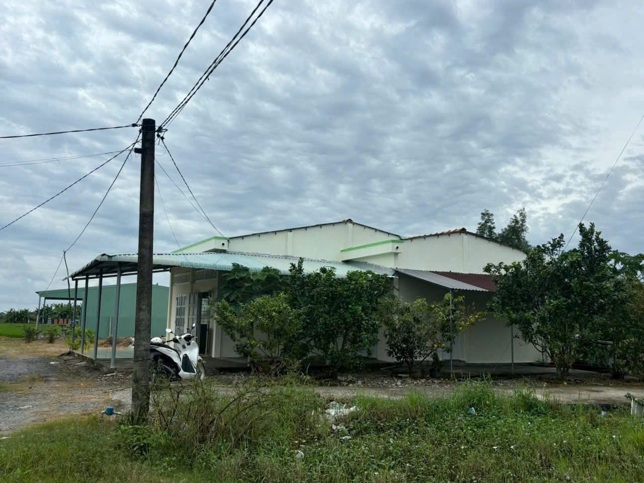 Bán nhà cấp 4 tổng dt 1300m2 đất lúa xã Đức Tân, Tân Trụ giá 1,2 tỷ 5