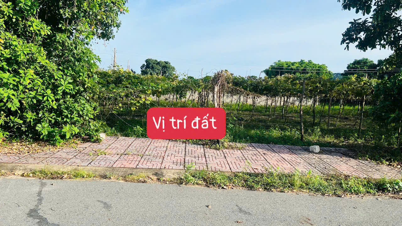 Cần bán Đất đường Tỉnh lộ 44A, Thị trấn Phước Hải, Diện tích 234m², Giá Thương lượng 4