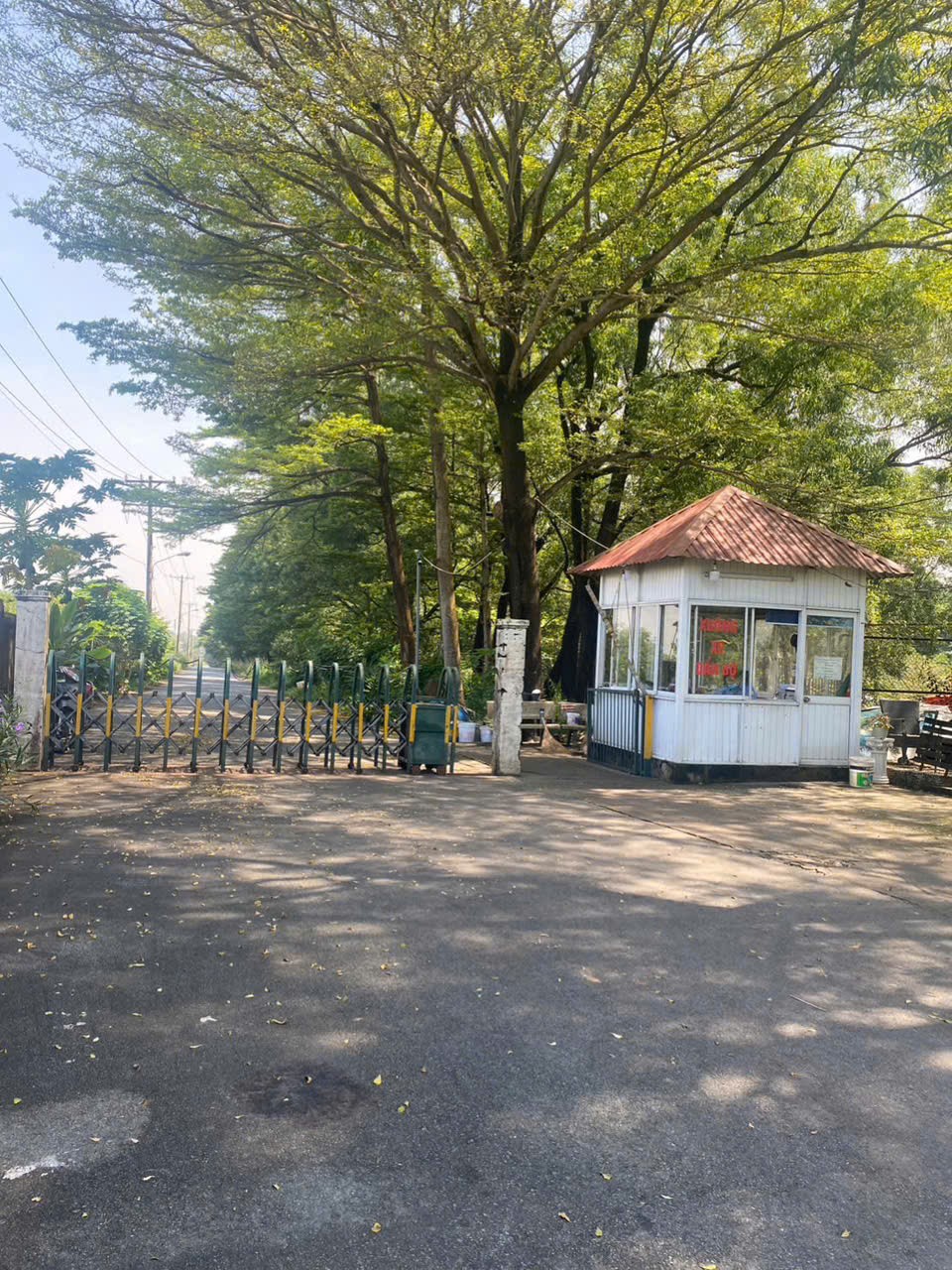 Cần bán Đất Phường Long Thạnh Mỹ, Quận 9, Diện tích 1500m², Giá 43 Triệu/m²