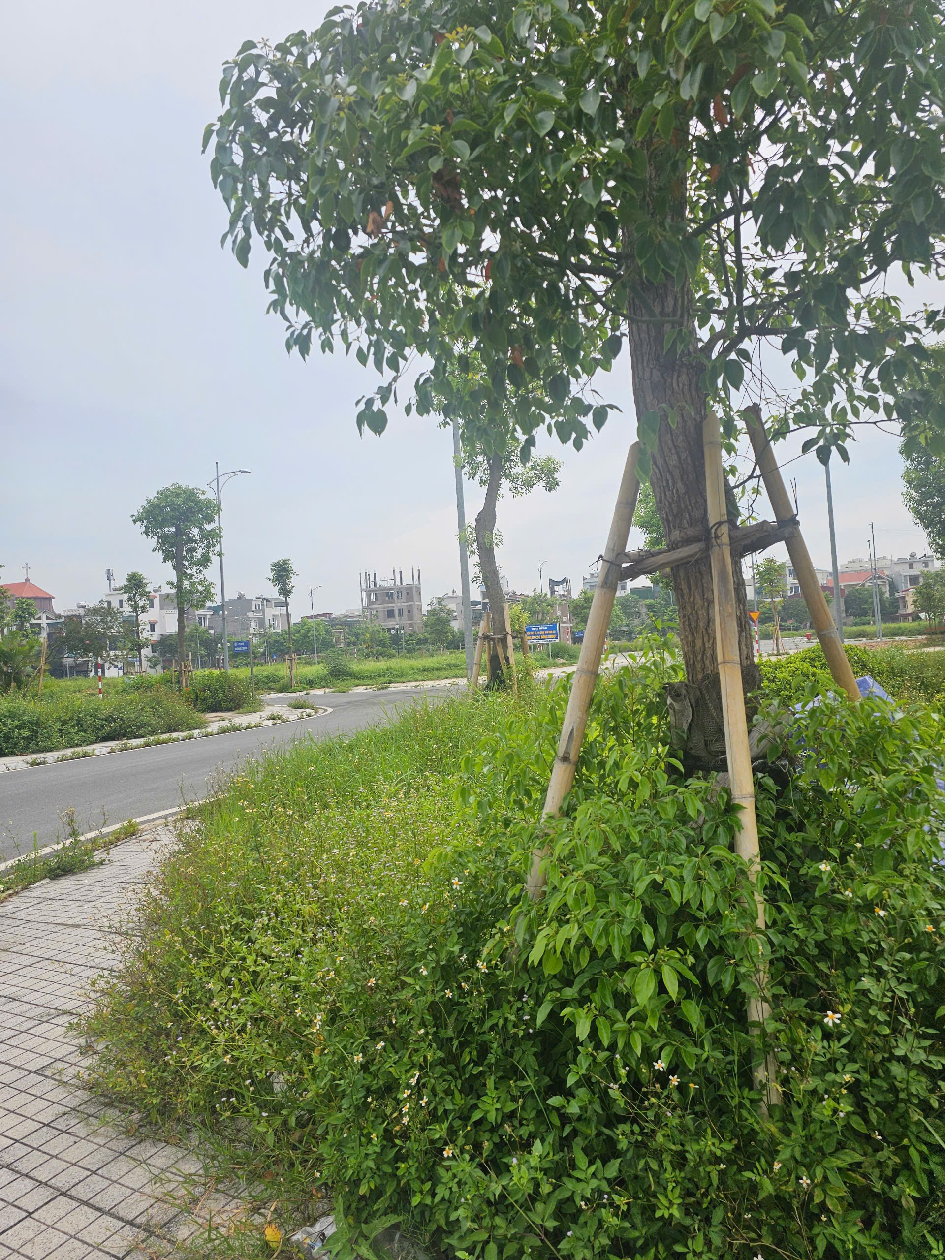 Cần bán Đất Phường Ngọc Châu, Hải Dương, Diện tích 72m², Giá 175 Triệu/m²