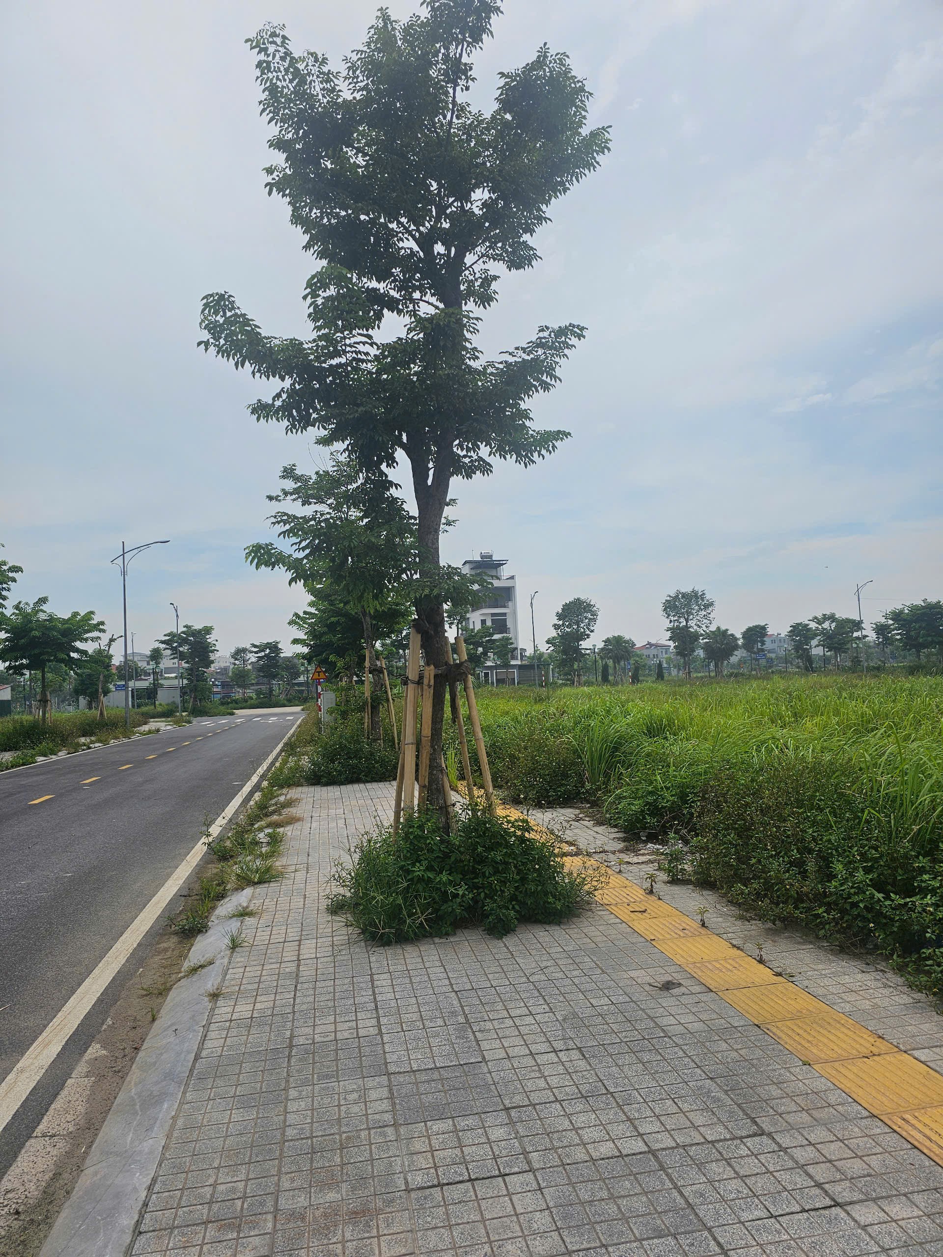 Cần bán Đất Phường Ngọc Châu, Hải Dương, Diện tích 75m², Giá 195 Triệu/m²