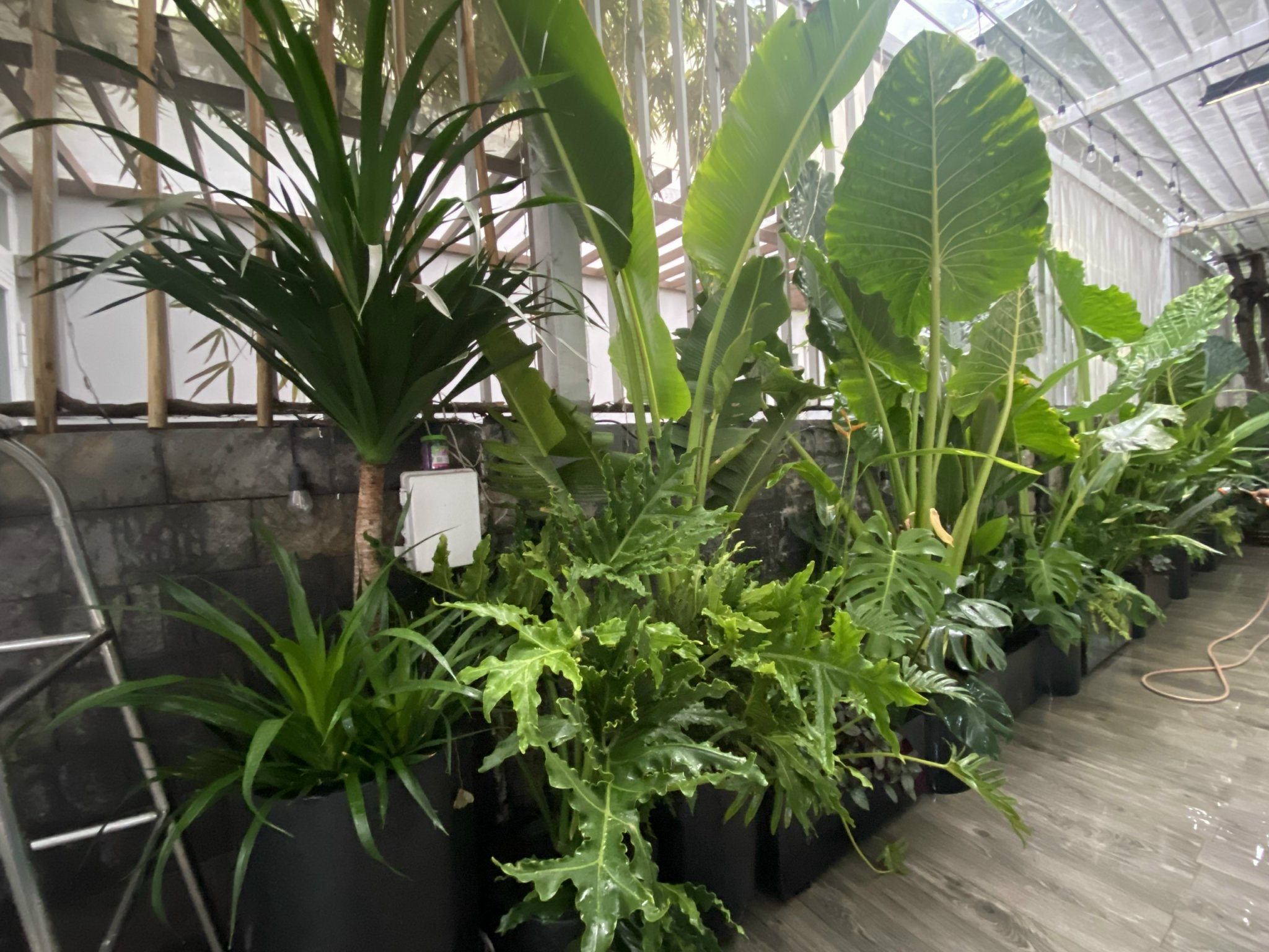 Cần bán Nhà mặt tiền Phường Phú Hữu, Quận 9, Diện tích 119m², Giá 016.5 Tỷ 4