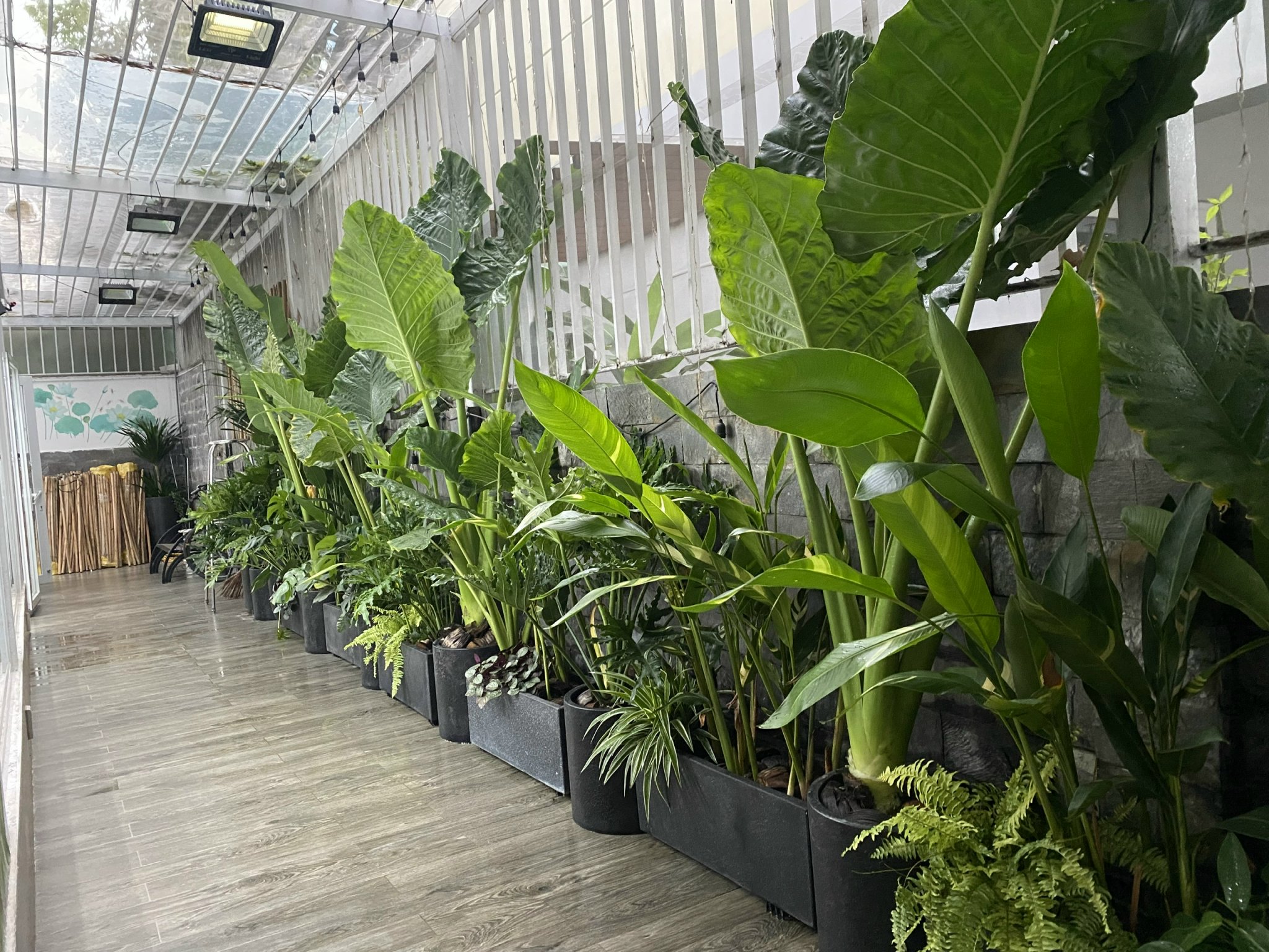 Cần bán Nhà mặt tiền Phường Phú Hữu, Quận 9, Diện tích 119m², Giá 016.5 Tỷ 5