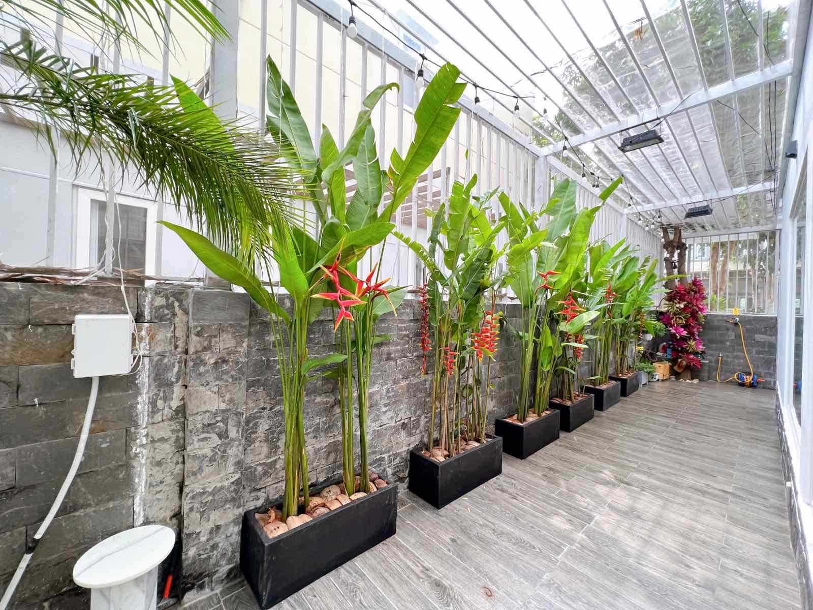 Cần bán Nhà mặt tiền Phường Phú Hữu, Quận 9, Diện tích 119m², Giá 016.5 Tỷ 6