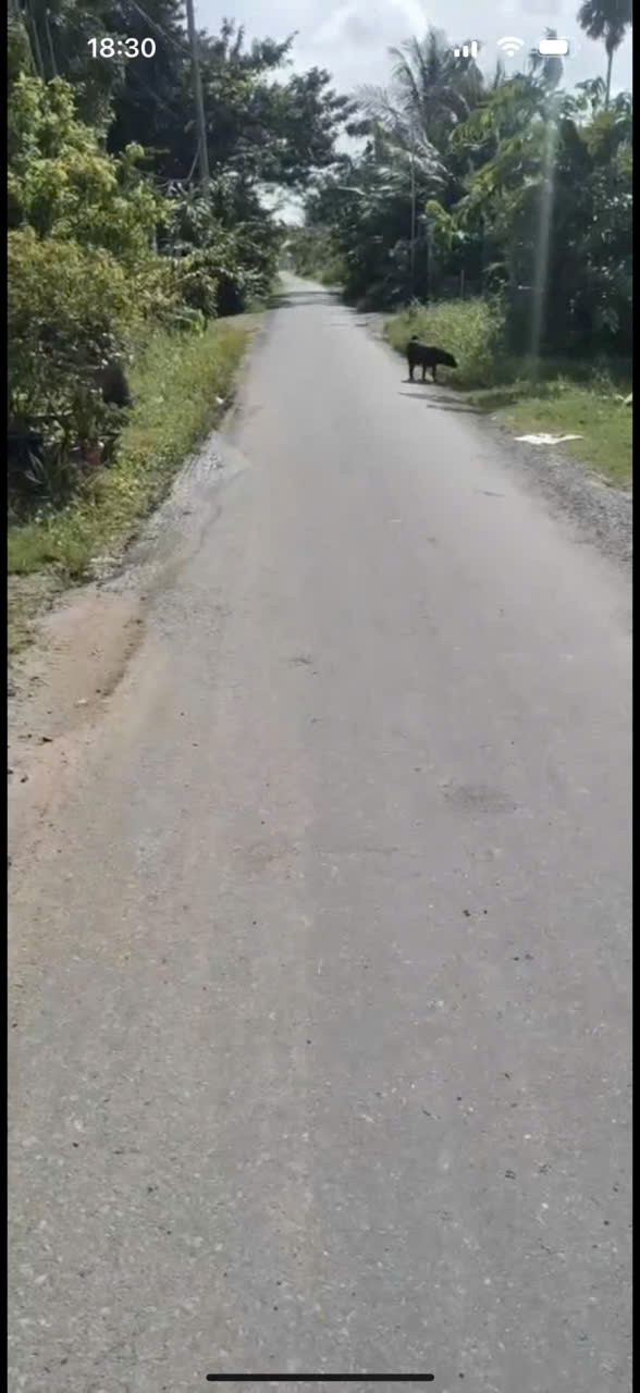 Bán đất thổ cư mt Xóm Gò, xã Đức Lập Hạ dt 130m2 giá 1,2 tỷ