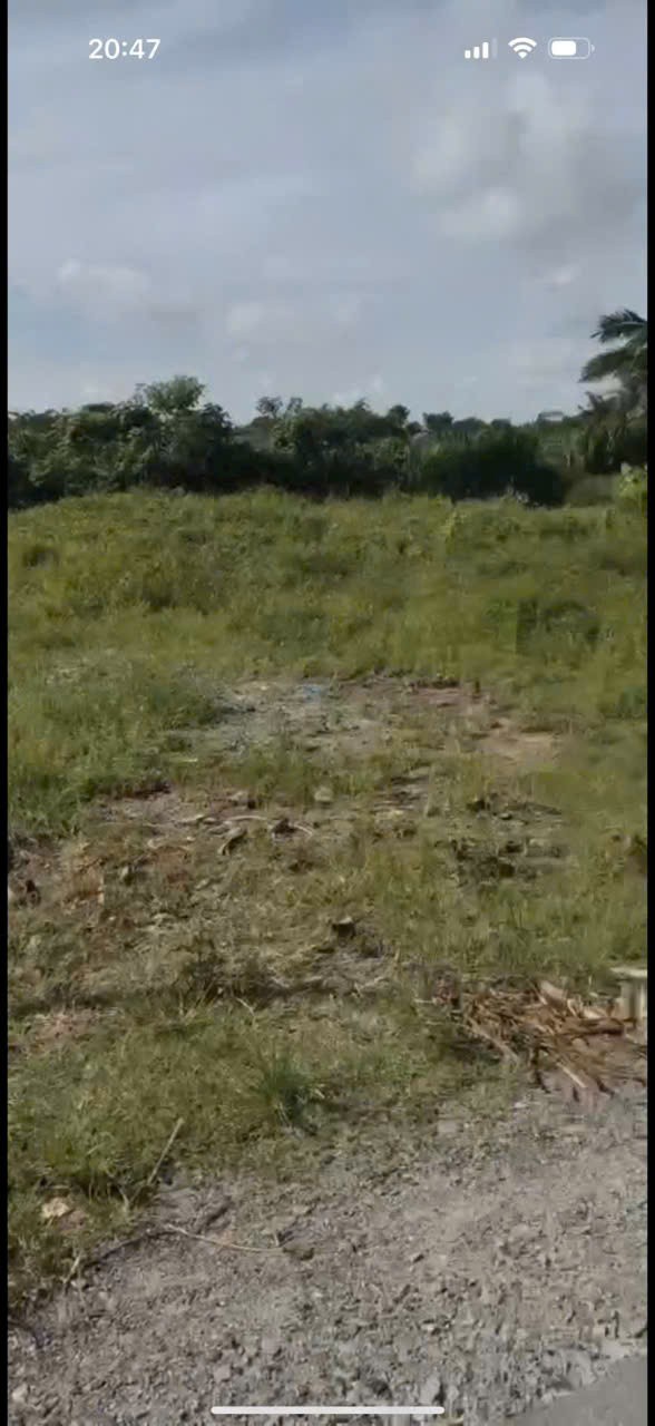 Bán đất thổ cư mt Xóm Gò, xã Đức Lập Hạ dt 130m2 giá 1,2 tỷ 3