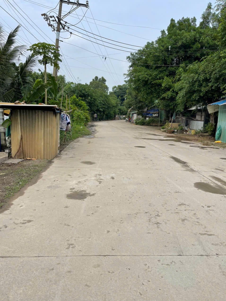 Bán nhà xưởng tdt 20.405m2 skc xã Đức Hòa Hạ, Đức Hòa giá 130 tỷ 5