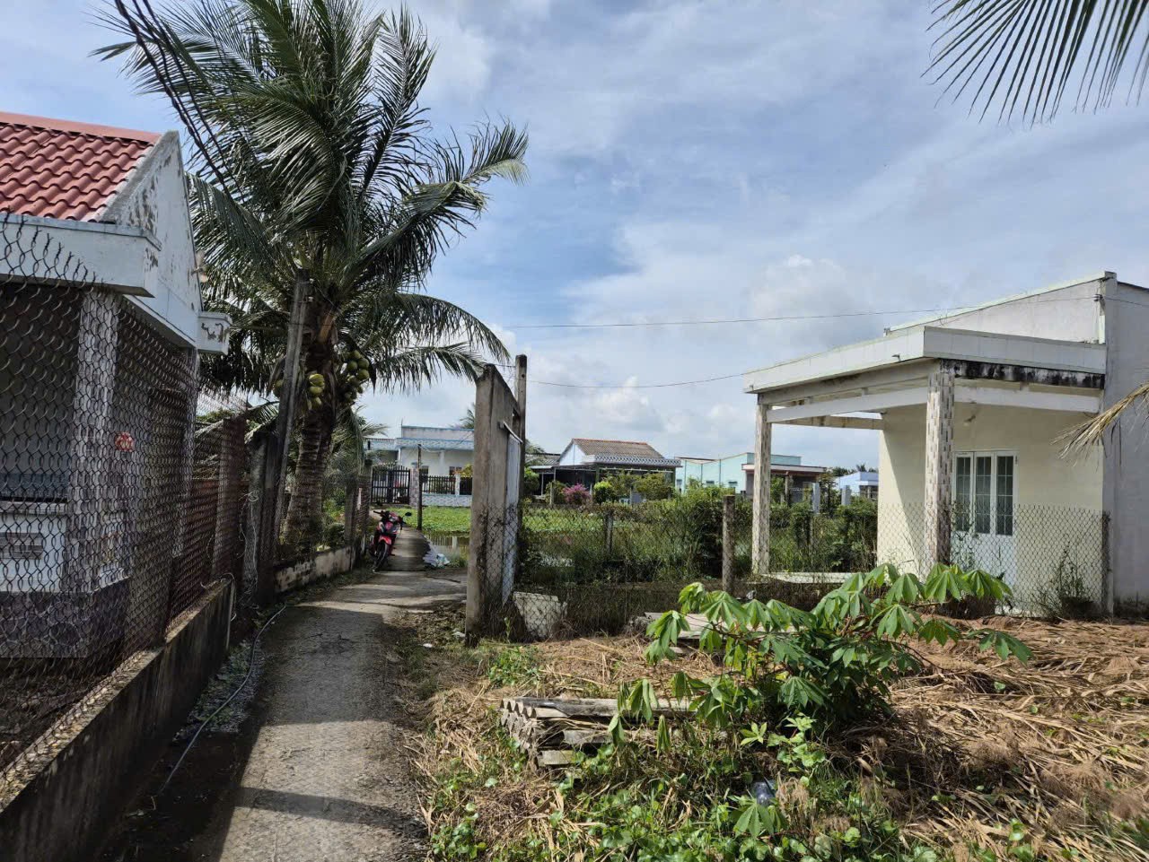 Bán đất tặng nhà cấp 4 xã LOng Hựu 165m2 lô góc 2 mt đường giá báo rẻ 600tr 3