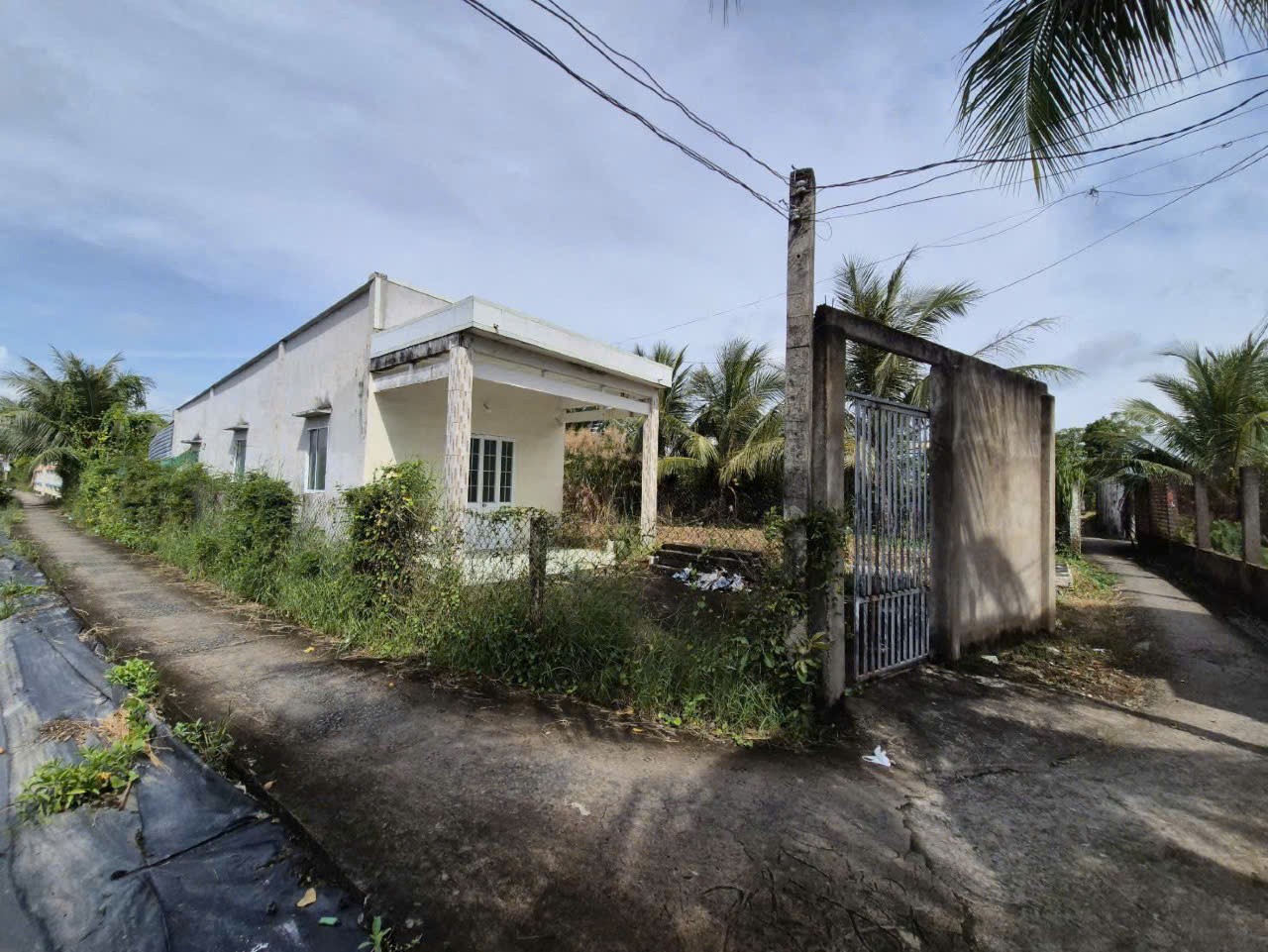 Bán đất tặng nhà cấp 4 xã LOng Hựu 165m2 lô góc 2 mt đường giá báo rẻ 600tr 4