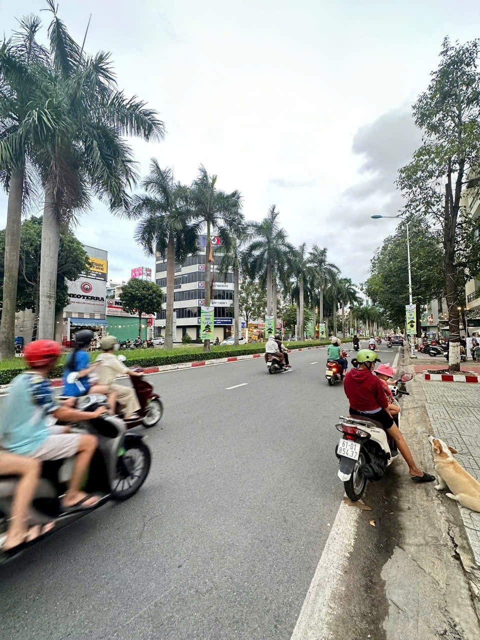 Cần bán Đất Phường Đông Hòa, Dĩ An, Diện tích 240m², Giá 32 Tỷ 3