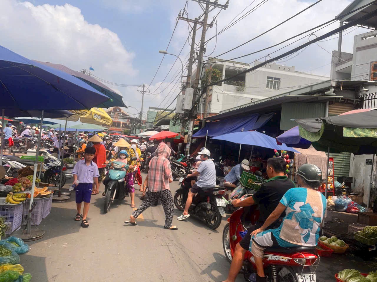 Cần bán Đất Phường Long Thạnh Mỹ, Quận 9, Diện tích 184m², Giá 15 Tỷ