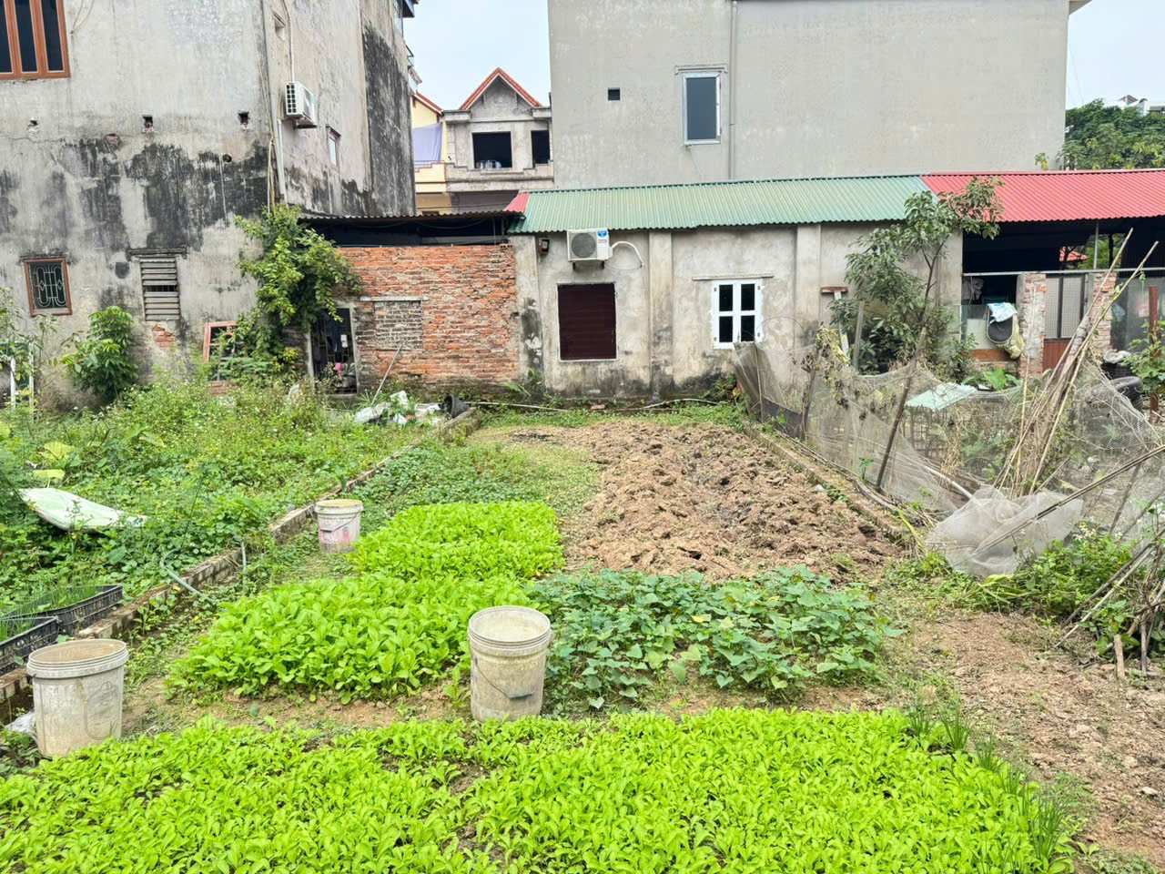 Bán gấp lô đất thôn Bạch Đa, Kim Hoa, Mê Linh, HN. Đất vuông vắn, không lỗi, ô tô đỗ 3