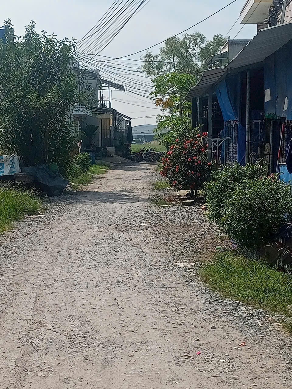 Nhà trọ trong KCN Tân Đức, xã Đức Hòa Hạ dt 560m2 thổ cư có 20 phòng + 2 ki ốt giá 7,5 tỷ 5