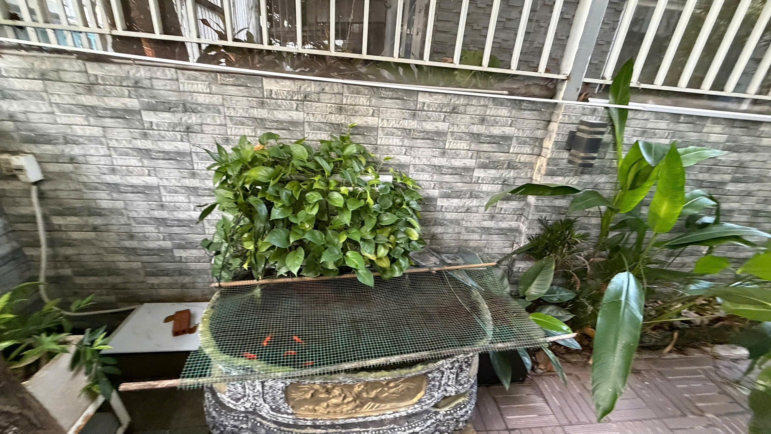 Cho thuê Nhà mặt tiền Phường Phước Long B, Quận 9, Diện tích 119m², Giá 21 Triệu/tháng 11