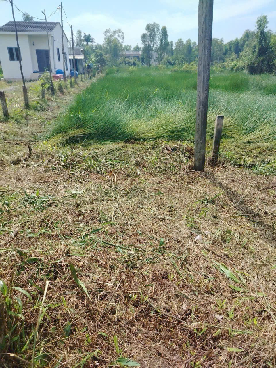 Đất vườn giá rẻ 917m2 mt xe 3 gác xã Phước Tuy chỉ 600tr