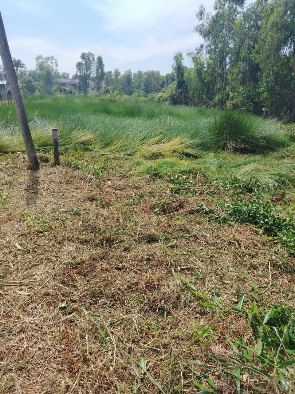 Đất vườn giá rẻ 917m2 mt xe 3 gác xã Phước Tuy chỉ 600tr 2